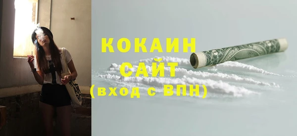 соль курить ск Каменка