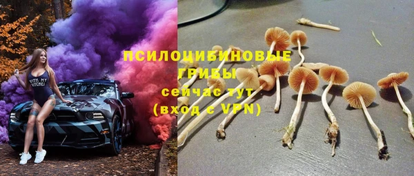 круглые Карпинск